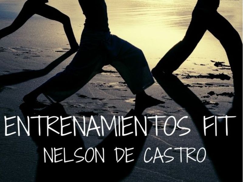 Nelson Alves de Castro